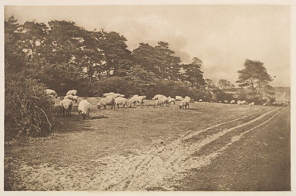 Pictorial Photographs. A Record of the Photographic Salon of 1897. In Seventeen Plates Reproduced in Photogravure, W. Thomas (British), Photogravures
