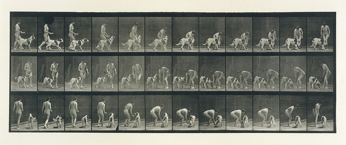 Animal Locomotion.  An Electro-Photographic Investigation of Consecutive Phases of Animal Movements.  Commenced 1872 - Completed 1885.  Volume IV, Women (Nude), Eadweard Muybridge (British and American, Kingston upon Thames 1830–1904 Kingston upon Thames), Photogravures 