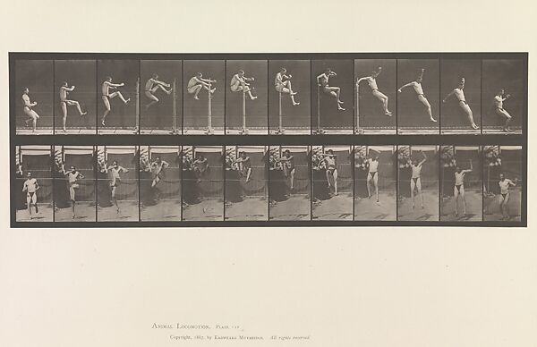 Animal Locomotion.  An Electro-Photographic Investigation of Consecutive Phases of Animal Movements.  Commenced 1872 - Completed 1885.  Volume V, Man (Pelvis Cloth)