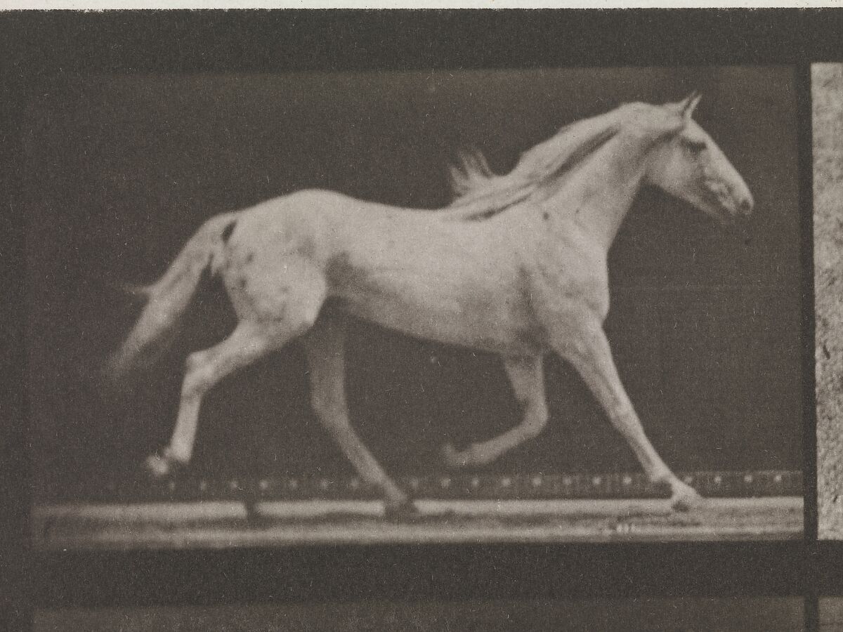 Animal Locomotion.  An Electro-Photographic Investigation of Consecutive Phases of Animal Movements.  Commenced 1872 - Completed 1885.  Volume IX, Horses, Eadweard Muybridge (British and American, Kingston upon Thames 1830–1904 Kingston upon Thames), Photogravures