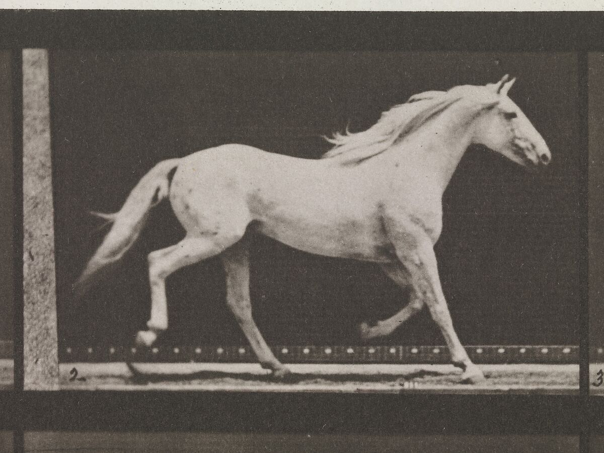 Animal Locomotion.  An Electro-Photographic Investigation of Consecutive Phases of Animal Movements.  Commenced 1872 - Completed 1885.  Volume IX, Horses, Eadweard Muybridge (British and American, Kingston upon Thames 1830–1904 Kingston upon Thames), Photogravures