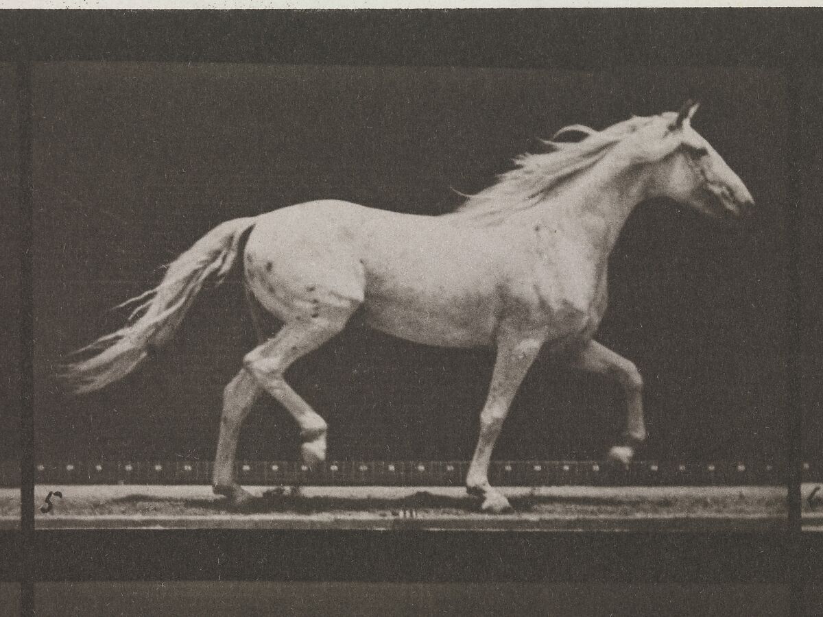 Animal Locomotion.  An Electro-Photographic Investigation of Consecutive Phases of Animal Movements.  Commenced 1872 - Completed 1885.  Volume IX, Horses, Eadweard Muybridge (British and American, Kingston upon Thames 1830–1904 Kingston upon Thames), Photogravures