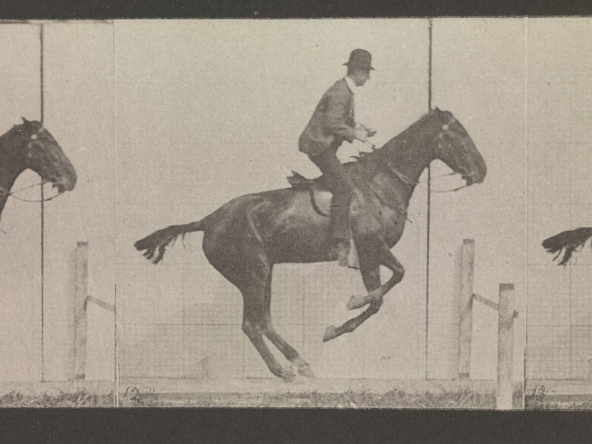 Animal Locomotion.  An Electro-Photographic Investigation of Consecutive Phases of Animal Movements.  Commenced 1872 - Completed 1885.  Volume IX, Horses, Eadweard Muybridge (British and American, Kingston upon Thames 1830–1904 Kingston upon Thames), Photogravures