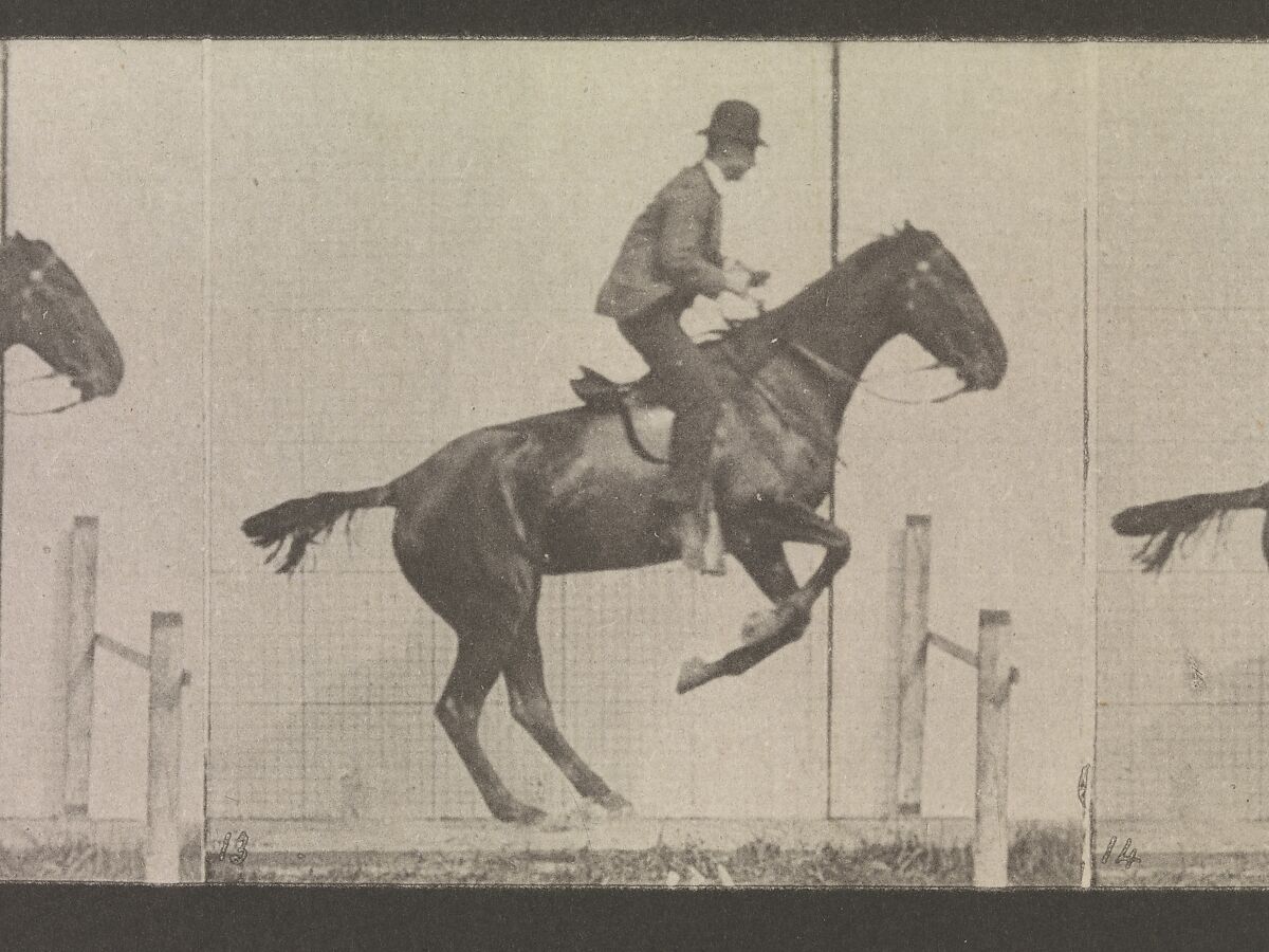 Animal Locomotion.  An Electro-Photographic Investigation of Consecutive Phases of Animal Movements.  Commenced 1872 - Completed 1885.  Volume IX, Horses, Eadweard Muybridge (British and American, Kingston upon Thames 1830–1904 Kingston upon Thames), Photogravures