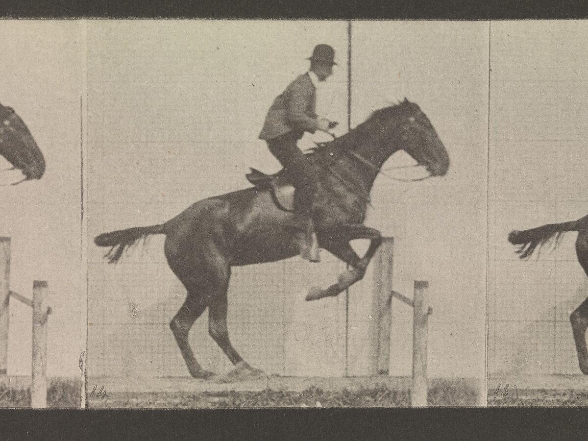 Animal Locomotion.  An Electro-Photographic Investigation of Consecutive Phases of Animal Movements.  Commenced 1872 - Completed 1885.  Volume IX, Horses, Eadweard Muybridge (British and American, Kingston upon Thames 1830–1904 Kingston upon Thames), Photogravures