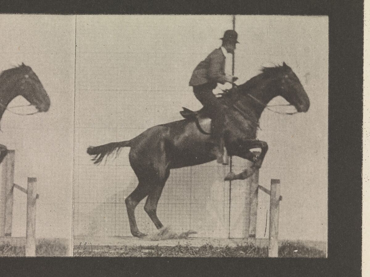 Animal Locomotion.  An Electro-Photographic Investigation of Consecutive Phases of Animal Movements.  Commenced 1872 - Completed 1885.  Volume IX, Horses, Eadweard Muybridge (British and American, Kingston upon Thames 1830–1904 Kingston upon Thames), Photogravures
