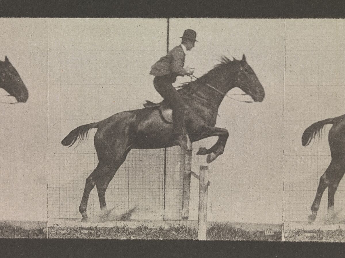 Animal Locomotion.  An Electro-Photographic Investigation of Consecutive Phases of Animal Movements.  Commenced 1872 - Completed 1885.  Volume IX, Horses, Eadweard Muybridge (British and American, Kingston upon Thames 1830–1904 Kingston upon Thames), Photogravures