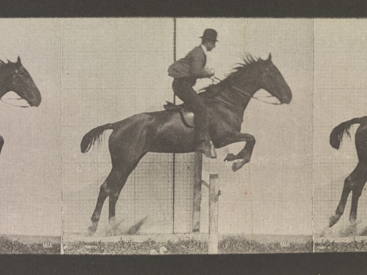 Animal Locomotion.  An Electro-Photographic Investigation of Consecutive Phases of Animal Movements.  Commenced 1872 - Completed 1885.  Volume IX, Horses, Eadweard Muybridge (British and American, Kingston upon Thames 1830–1904 Kingston upon Thames), Photogravures