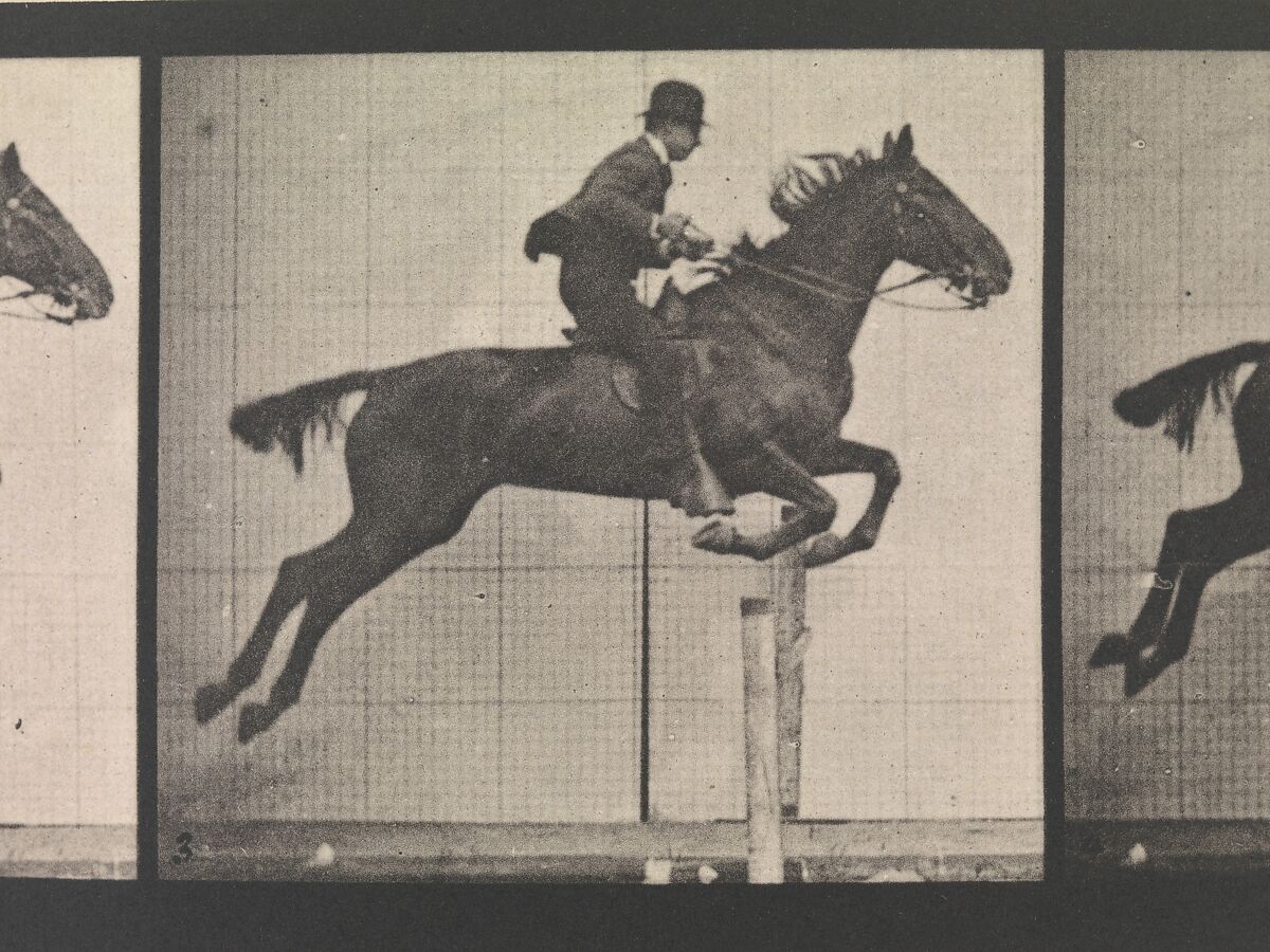 Animal Locomotion.  An Electro-Photographic Investigation of Consecutive Phases of Animal Movements.  Commenced 1872 - Completed 1885.  Volume IX, Horses, Eadweard Muybridge (British and American, Kingston upon Thames 1830–1904 Kingston upon Thames), Photogravures