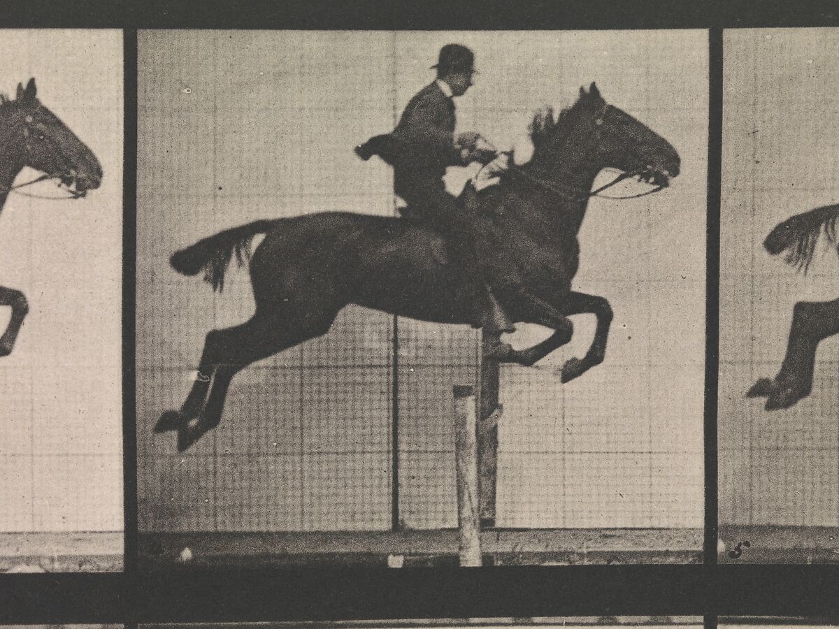 Animal Locomotion.  An Electro-Photographic Investigation of Consecutive Phases of Animal Movements.  Commenced 1872 - Completed 1885.  Volume IX, Horses, Eadweard Muybridge (British and American, Kingston upon Thames 1830–1904 Kingston upon Thames), Photogravures