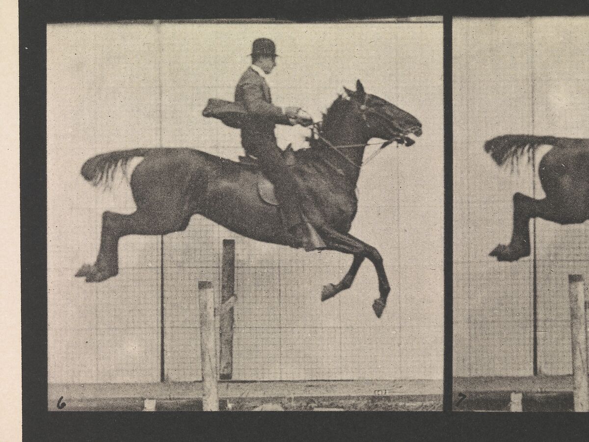 Animal Locomotion.  An Electro-Photographic Investigation of Consecutive Phases of Animal Movements.  Commenced 1872 - Completed 1885.  Volume IX, Horses, Eadweard Muybridge (British and American, Kingston upon Thames 1830–1904 Kingston upon Thames), Photogravures
