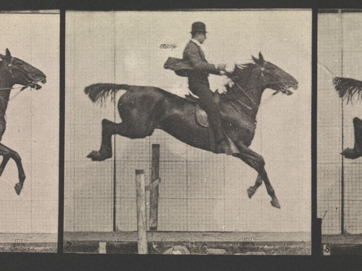 Eadweard Muybridge - Animal Locomotion. An Electro