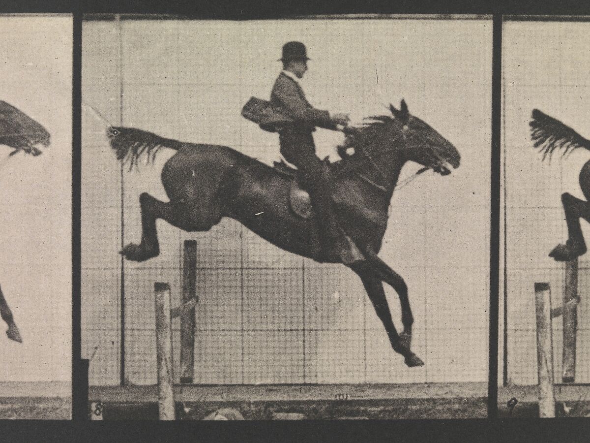 Animal Locomotion.  An Electro-Photographic Investigation of Consecutive Phases of Animal Movements.  Commenced 1872 - Completed 1885.  Volume IX, Horses, Eadweard Muybridge (British and American, Kingston upon Thames 1830–1904 Kingston upon Thames), Photogravures