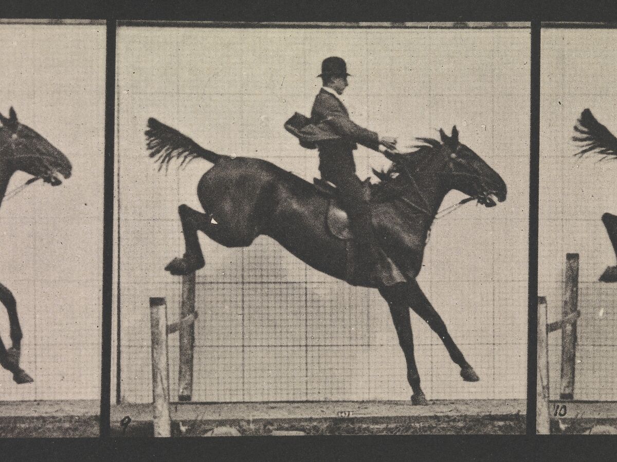 Animal Locomotion.  An Electro-Photographic Investigation of Consecutive Phases of Animal Movements.  Commenced 1872 - Completed 1885.  Volume IX, Horses, Eadweard Muybridge (British and American, Kingston upon Thames 1830–1904 Kingston upon Thames), Photogravures