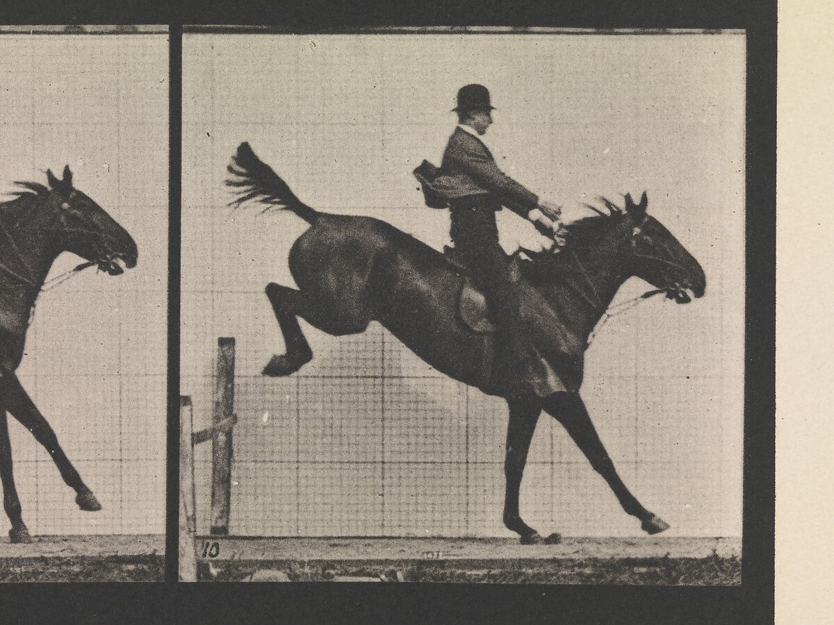 Animal Locomotion.  An Electro-Photographic Investigation of Consecutive Phases of Animal Movements.  Commenced 1872 - Completed 1885.  Volume IX, Horses, Eadweard Muybridge (British and American, Kingston upon Thames 1830–1904 Kingston upon Thames), Photogravures