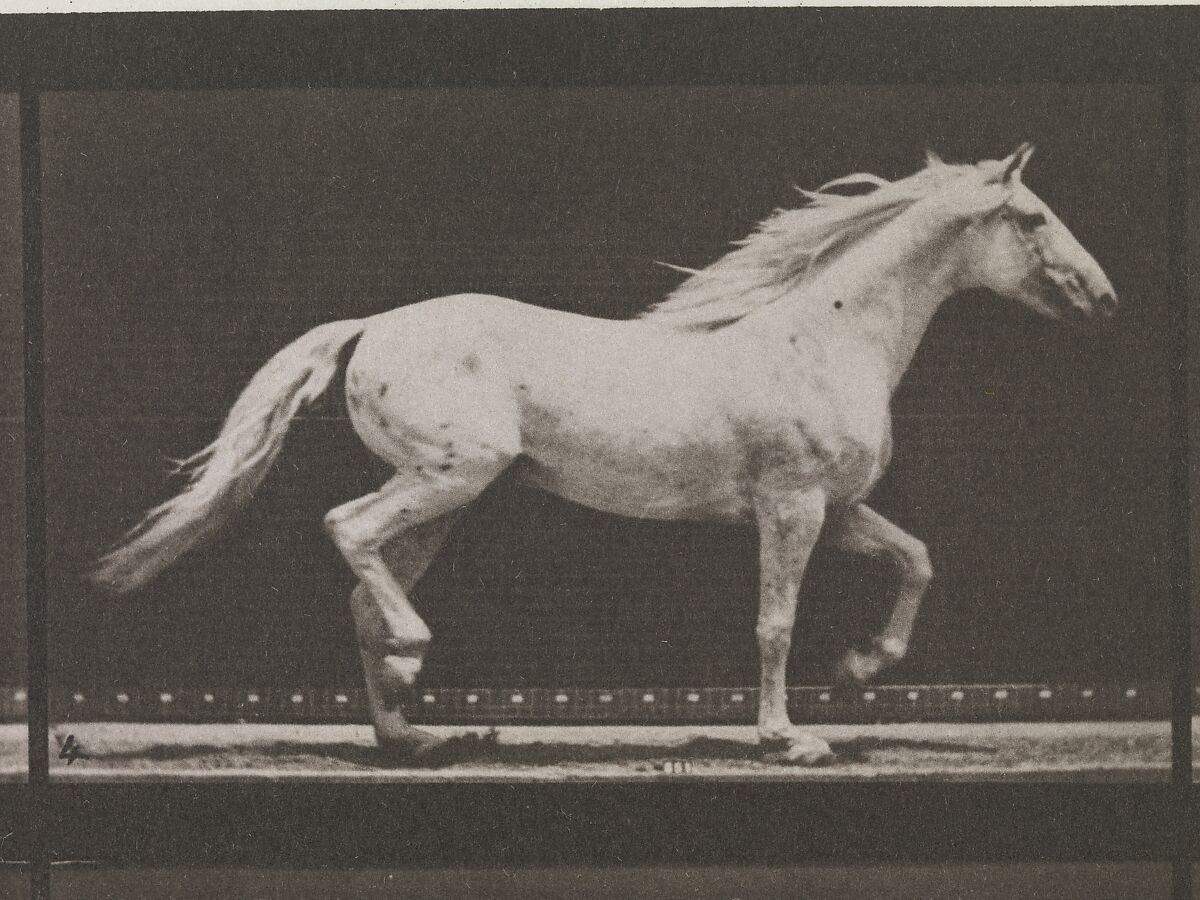 Animal Locomotion.  An Electro-Photographic Investigation of Consecutive Phases of Animal Movements.  Commenced 1872 - Completed 1885.  Volume IX, Horses, Eadweard Muybridge (British and American, Kingston upon Thames 1830–1904 Kingston upon Thames), Photogravures