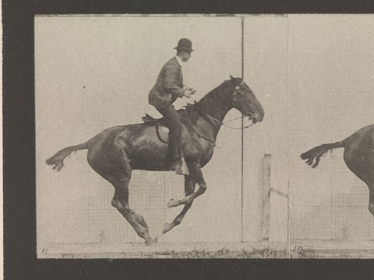 Animal Locomotion.  An Electro-Photographic Investigation of Consecutive Phases of Animal Movements.  Commenced 1872 - Completed 1885.  Volume IX, Horses, Eadweard Muybridge (British and American, Kingston upon Thames 1830–1904 Kingston upon Thames), Photogravures