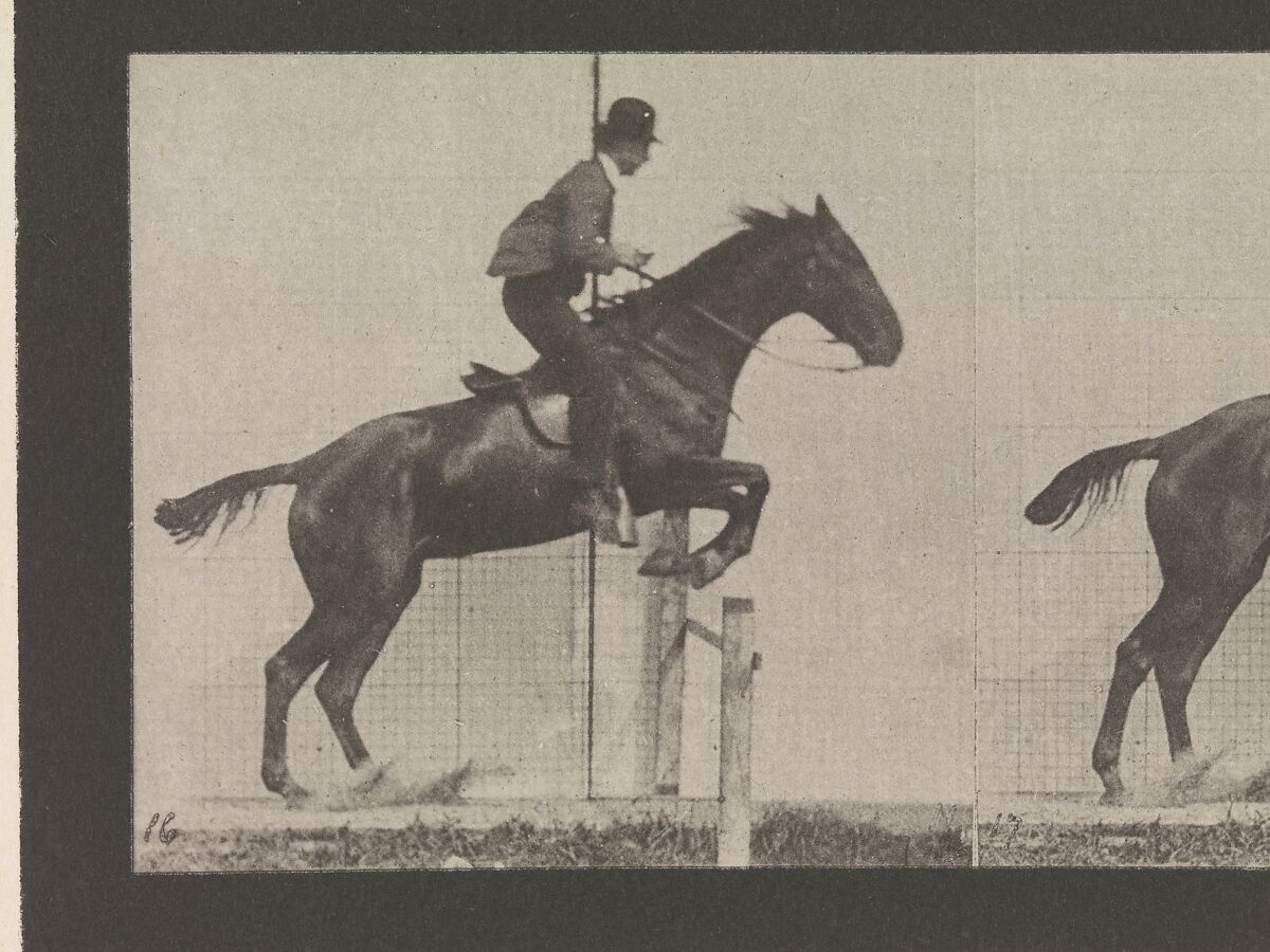 Animal Locomotion.  An Electro-Photographic Investigation of Consecutive Phases of Animal Movements.  Commenced 1872 - Completed 1885.  Volume IX, Horses, Eadweard Muybridge (British and American, Kingston upon Thames 1830–1904 Kingston upon Thames), Photogravures