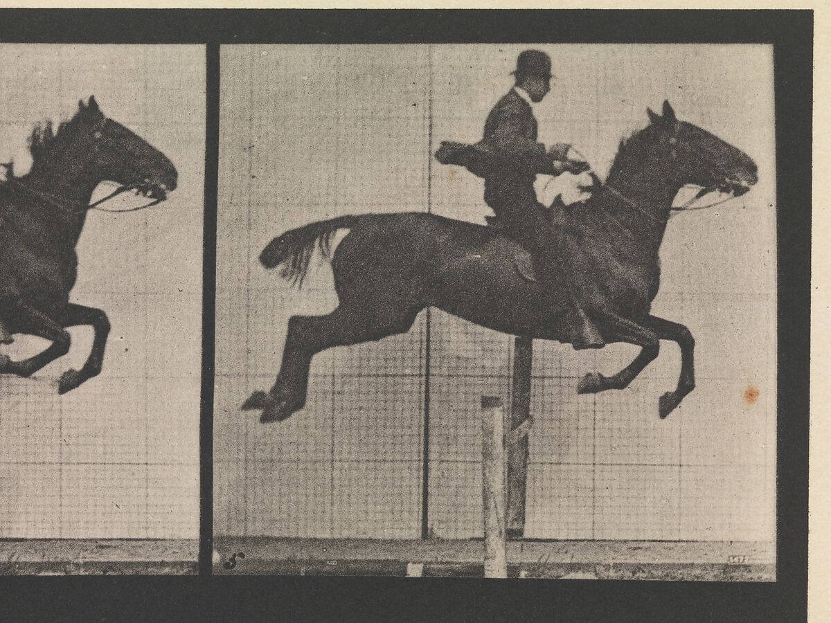 Animal Locomotion.  An Electro-Photographic Investigation of Consecutive Phases of Animal Movements.  Commenced 1872 - Completed 1885.  Volume IX, Horses, Eadweard Muybridge (British and American, Kingston upon Thames 1830–1904 Kingston upon Thames), Photogravures
