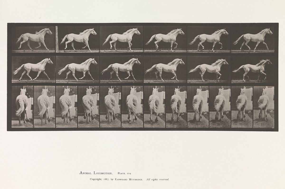 Animal Locomotion.  An Electro-Photographic Investigation of Consecutive Phases of Animal Movements.  Commenced 1872 - Completed 1885.  Volume IX, Horses, Eadweard Muybridge (British and American, Kingston upon Thames 1830–1904 Kingston upon Thames), Photogravures 