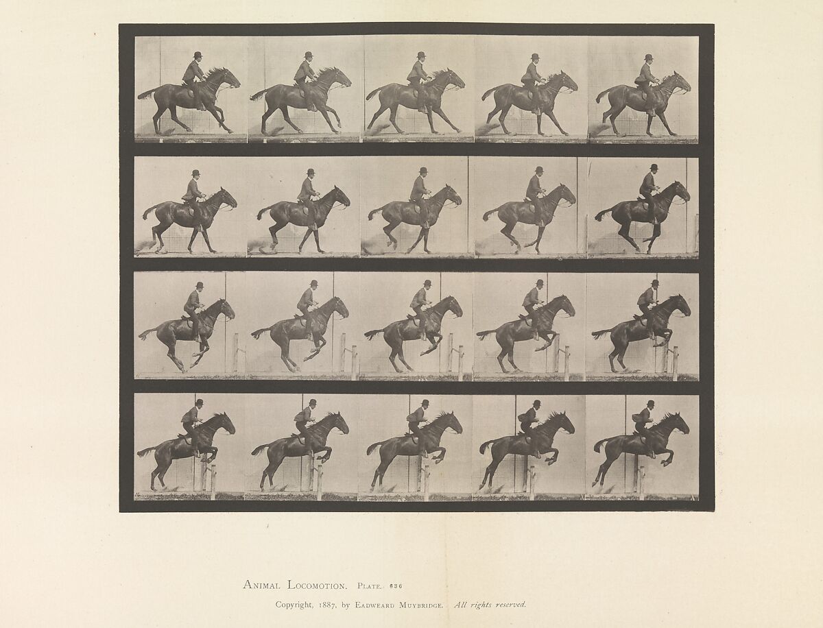 Animal Locomotion.  An Electro-Photographic Investigation of Consecutive Phases of Animal Movements.  Commenced 1872 - Completed 1885.  Volume IX, Horses, Eadweard Muybridge (British and American, Kingston upon Thames 1830–1904 Kingston upon Thames), Photogravures