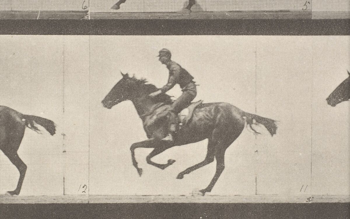 [Horse and Rider Galloping], Eadweard Muybridge (British and American, Kingston upon Thames 1830–1904 Kingston upon Thames), Collotype