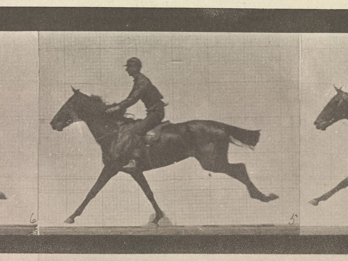 [Horse and Rider Galloping], Eadweard Muybridge (British and American, Kingston upon Thames 1830–1904 Kingston upon Thames), Collotype