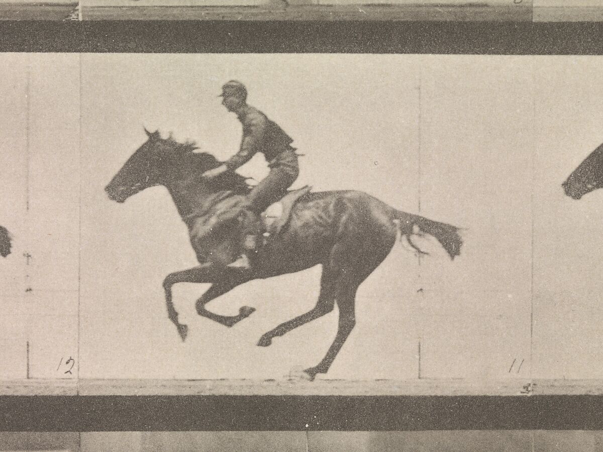 [Horse and Rider Galloping], Eadweard Muybridge (British and American, Kingston upon Thames 1830–1904 Kingston upon Thames), Collotype