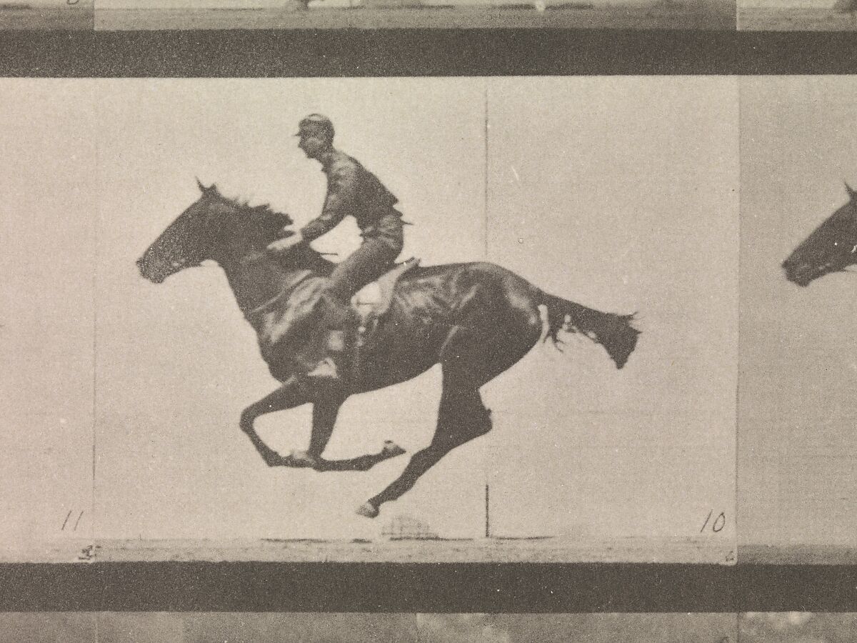 [Horse and Rider Galloping], Eadweard Muybridge (British and American, Kingston upon Thames 1830–1904 Kingston upon Thames), Collotype