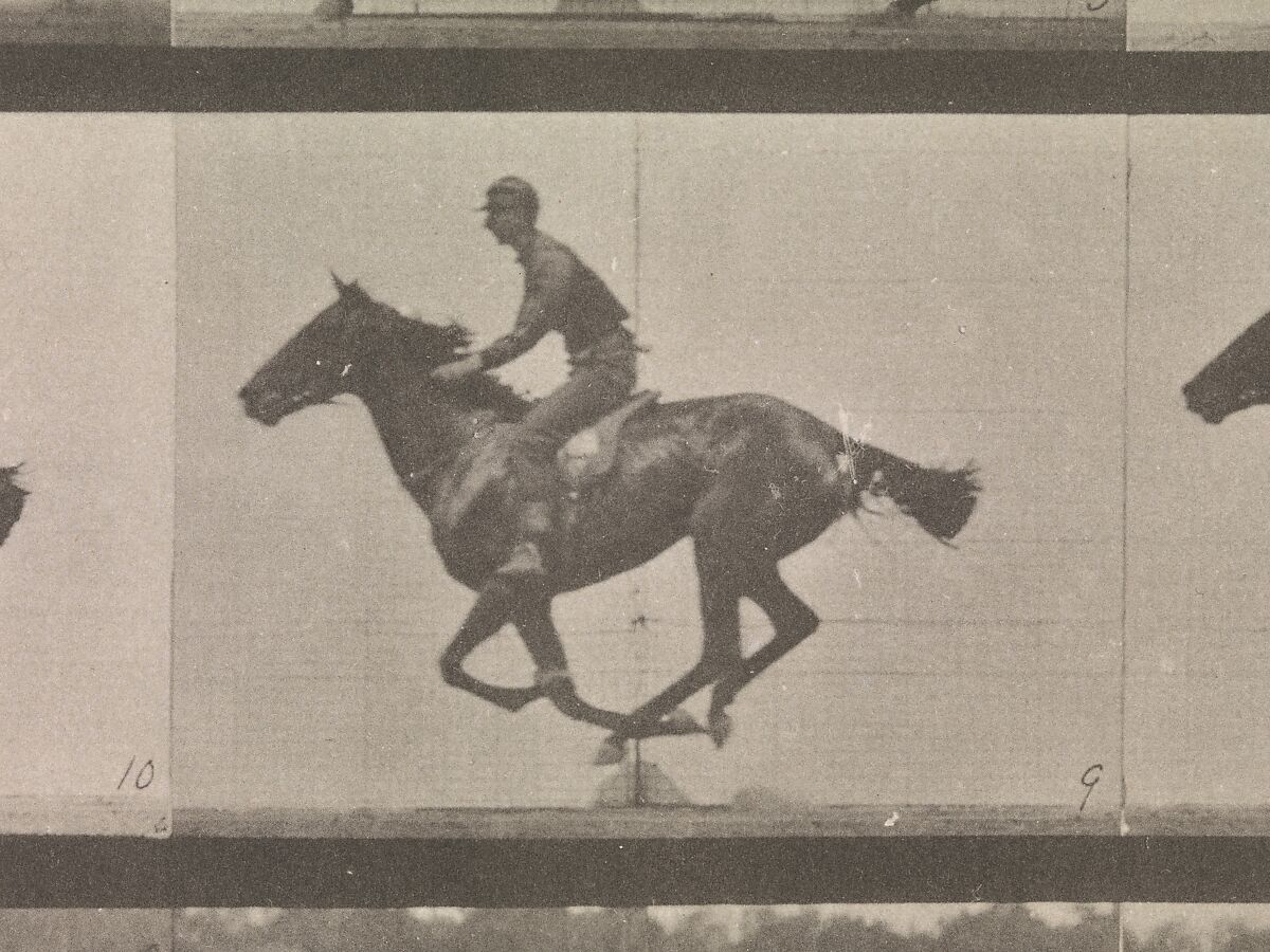 [Horse and Rider Galloping], Eadweard Muybridge (British and American, Kingston upon Thames 1830–1904 Kingston upon Thames), Collotype