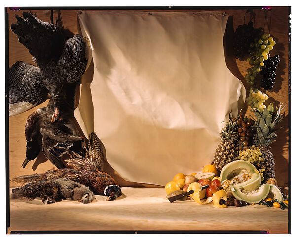 [Still-life with Fowl and Fruit], George Hoyningen-Huene (American (born Russia), St. Petersburg 1900–1968 Los Angeles, California), Chromogenic Transparency 