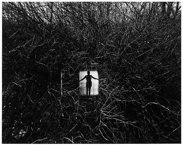 Eleanor, Harry Callahan (American, Detroit, Michigan 1912–1999 Atlanta, Georgia), Gelatin silver print 