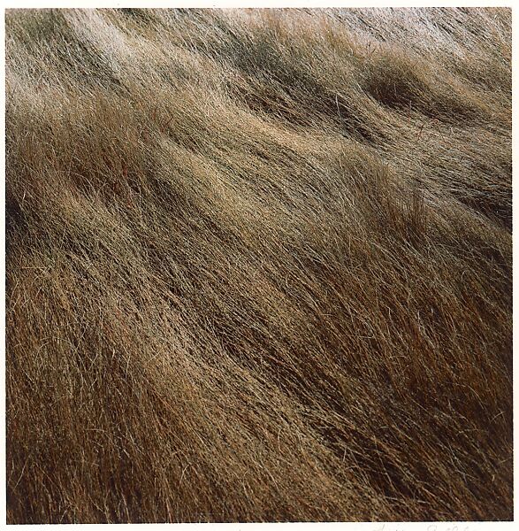 Horseneck Beach, Harry Callahan (American, Detroit, Michigan 1912–1999 Atlanta, Georgia), Dye transfer print 