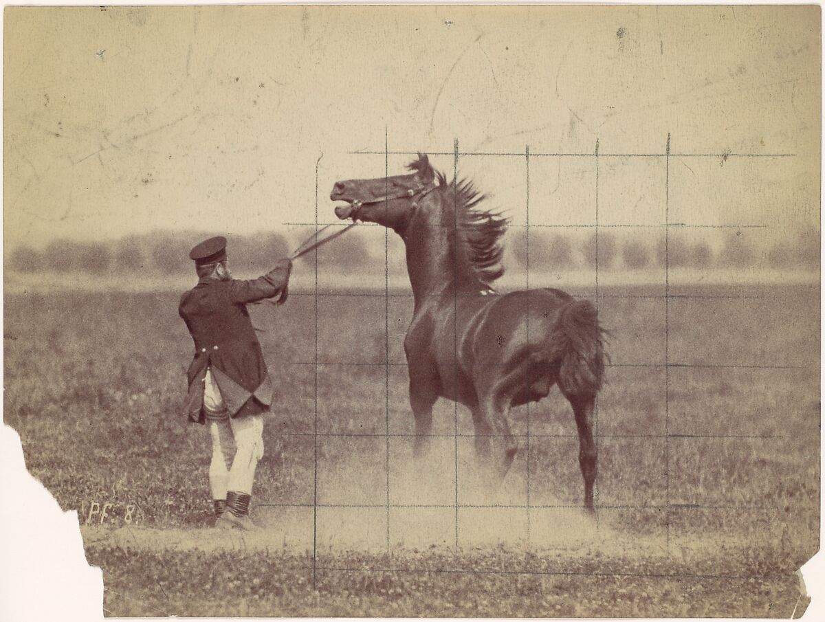 Horse, Ottomar Anschütz (German, Lissa (Leszno, Poland) 1846–1907 Berlin), Albumen silver print 