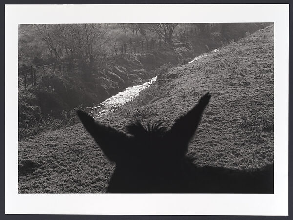 County Antrim, Ireland, Gilles Peress (French, born 1946), Gelatin silver print 