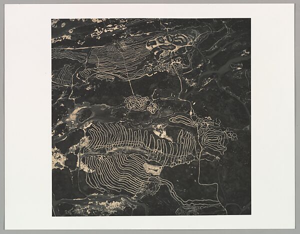 Waterfowl Nesting Site and Wetland Area, Near Sutter Buttes, California, Emmet Gowin (American, born 1941), Gelatin silver print 