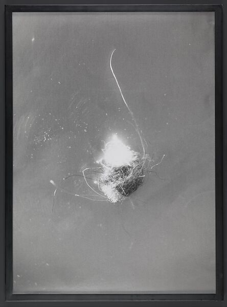 Untitled (8), Mike Kelley (American, Wayne, Michigan 1954–2012 South Pasadena, California), Gelatin silver print 