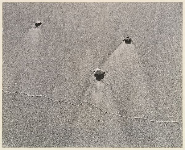 Untitled, Harry Callahan (American, Detroit, Michigan 1912–1999 Atlanta, Georgia), Gelatin silver prints