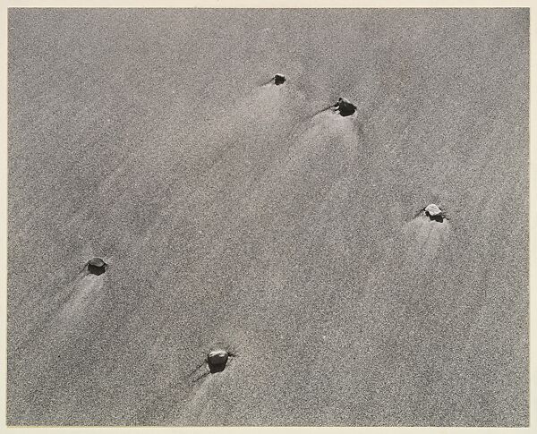 Untitled, Harry Callahan (American, Detroit, Michigan 1912–1999 Atlanta, Georgia), Gelatin silver prints