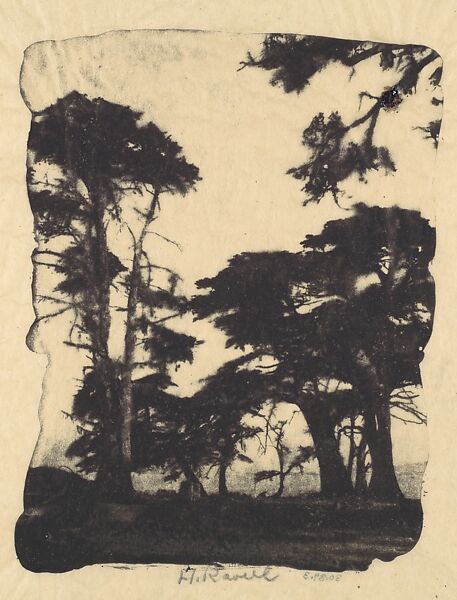 Cypress, Pebble Beach, California, Henry Ravell (American, 1860–1930), Gum bichromate print 