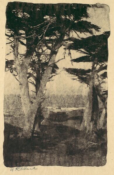 Cypress, Pebble Beach, California, Henry Ravell (American, 1860–1930), Gum bichromate print 