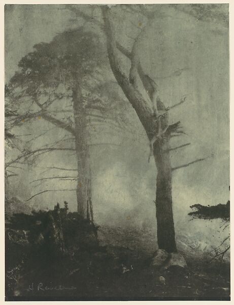 Fog and Cypress Trees, Henry Ravell (American, 1860–1930), Gum bichromate print 