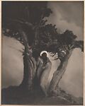 The Heart of the Storm, Anne W. Brigman (American, Honolulu, Hawaii 1869–1950 Eagle Rock, California), Gelatin silver print from glass negative 