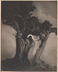 The Heart of the Storm, Anne W. Brigman  American, Gelatin silver print from glass negative