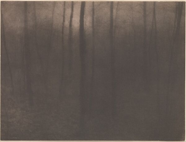 Woods Twilight, Edward J. Steichen (American (born Luxembourg), Bivange 1879–1973 West Redding, Connecticut), Platinum print 