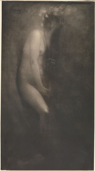 Figure with Iris, Edward J. Steichen (American (born Luxembourg), Bivange 1879–1973 West Redding, Connecticut), Direct carbon print 