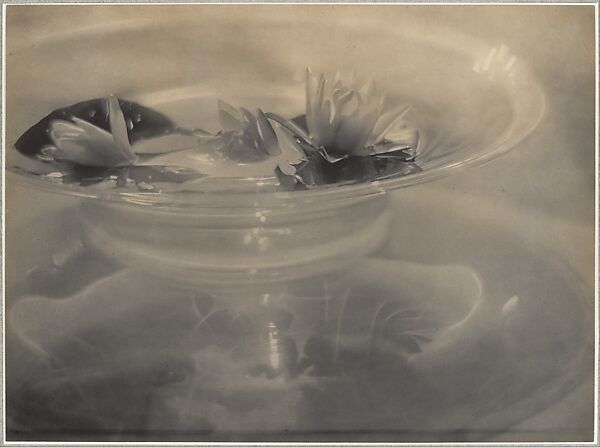 Water Lilies, Adolf de Meyer (American (born France), Paris 1868–1946 Los Angeles, California), Platinum print 