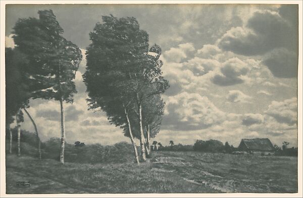 Landscape - Windy Weather, Heinrich Kühn (Austrian (born Germany), Dresden 1866–1944 Birgitz), Gum bichromate print 