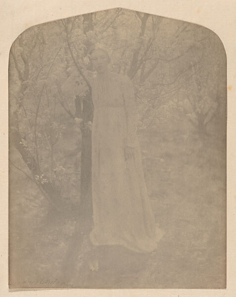 The Orchard, Clarence H. White (American, 1871–1925), Platinum print 