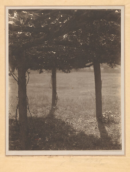 The Arbor, Clarence H. White (American, 1871–1925), Platinum print 